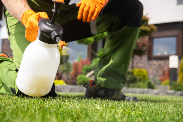 Best Mosquito Control Services  in Hughesville, MD