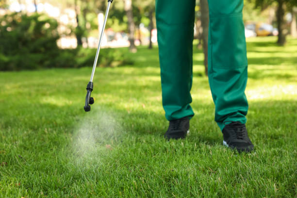 Best Termite Control Services  in Hughesville, MD