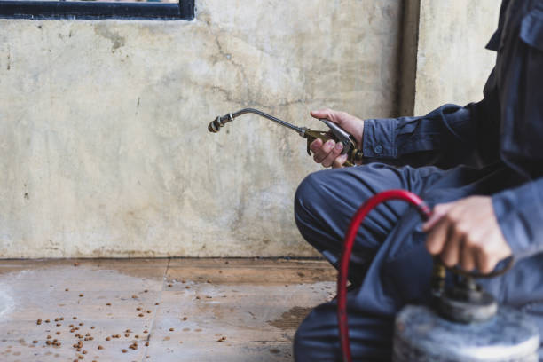 Best Wasp Removal Services  in Hughesville, MD